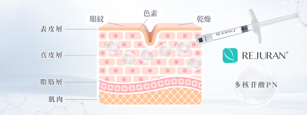 Rejuran麗珠蘭白盒