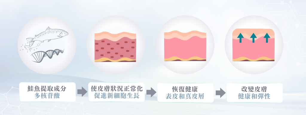 Rejuran麗珠蘭白盒